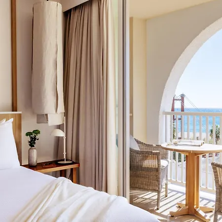 Hotel Melia Banús 5*
